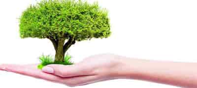 Save Earth, Plant A Tree